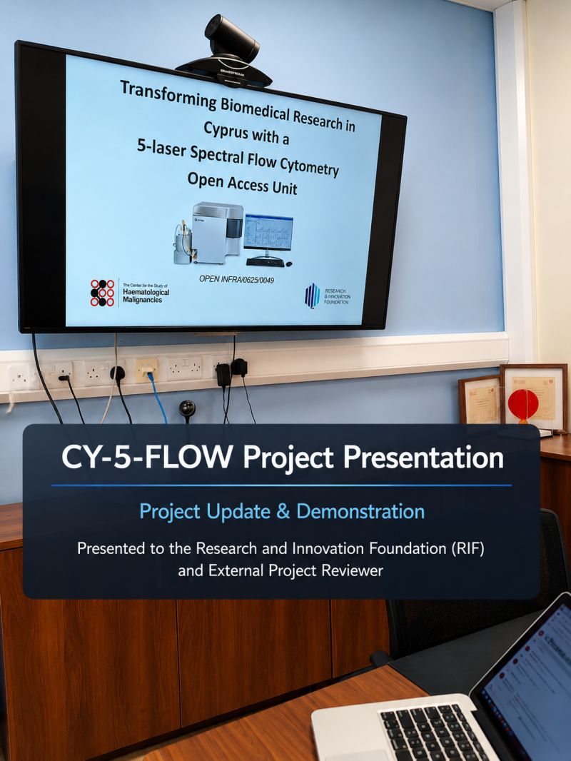 CY-5-FLOW project presentation to the Research and Innovation Foundation and external reviewer