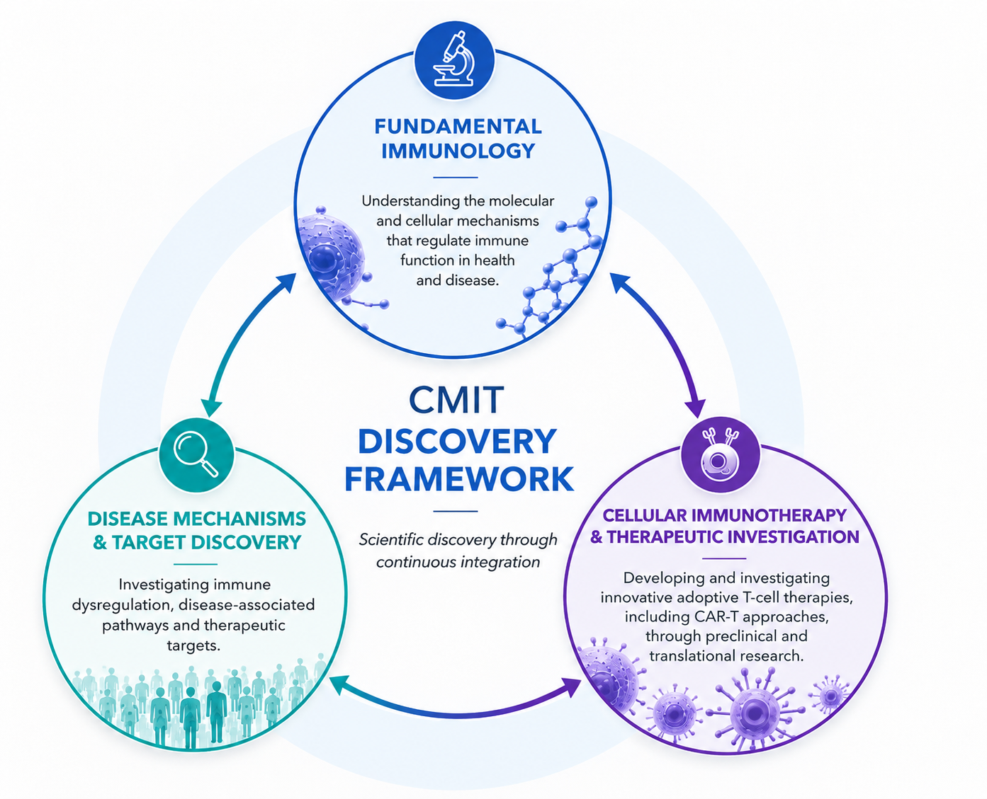 CMIT Discovery Framework: a continuous cycle connecting Fundamental Immunology, Disease Profiling & Target Discovery, and Therapeutic Investigation