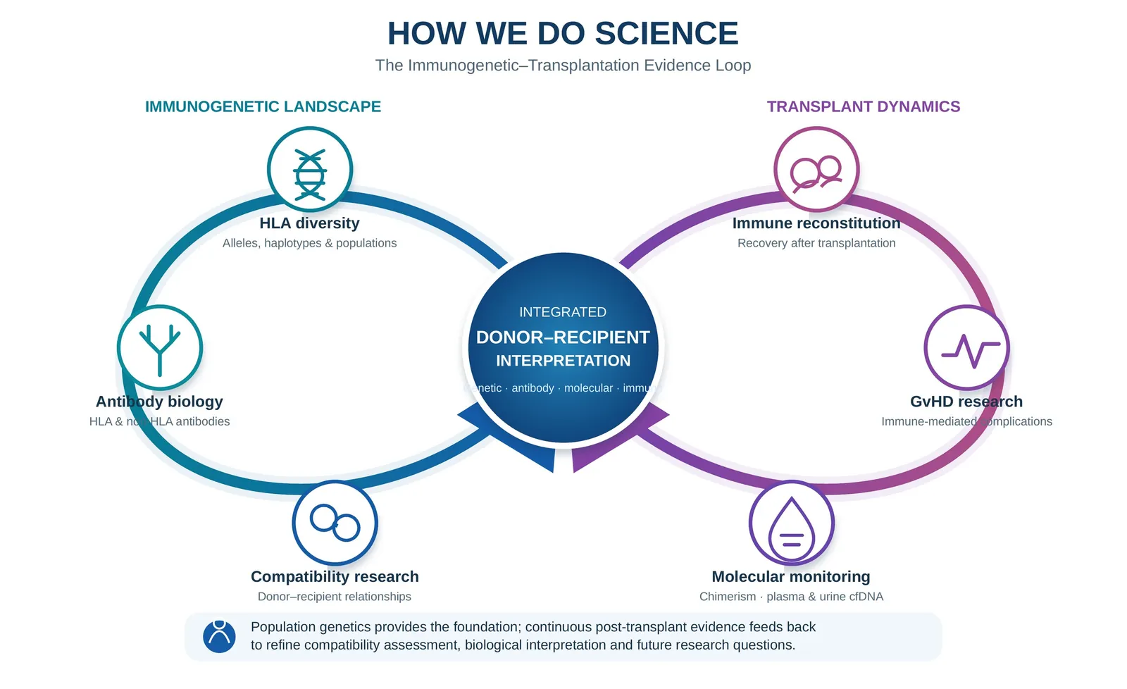 Immunogenetic-transplantation evidence loop